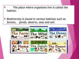 6
 The place where organisms live is called the
habitat.
 Biodiversity is found in various habitats such as
forests, ponds, deserts, seas and soil.
 