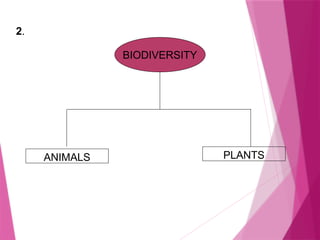 2.
BIODIVERSITY
ANIMALS PLANTS
 
