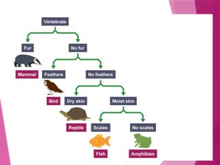 FORM 2 CHAPTER 1 BIODIVERSITY.pptxxxxxxxxxxxxxxxx | PPTX