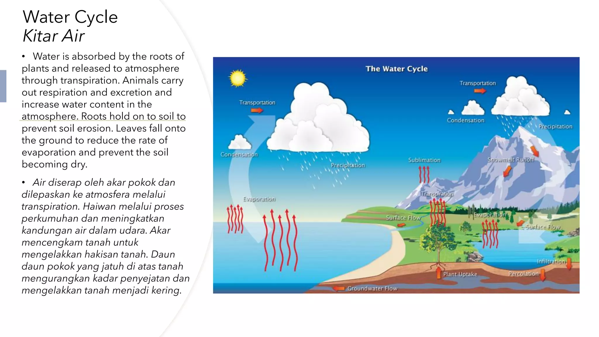 Form 2 DLP Chapter 2 Ecosystem | PDF