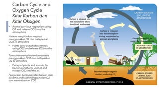 Form 2 DLP Chapter 2 Ecosystem | PDF