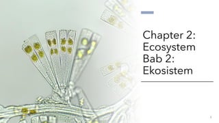 Chapter 2:
Ecosystem
Bab 2:
Ekosistem
1
 