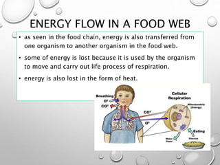 FORM 2 CHAPTER 2 ECOSYSTEM.pptx