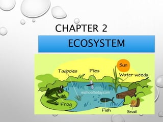 CHAPTER 2
ECOSYSTEM
 