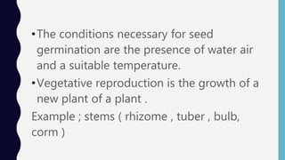 •The conditions necessary for seed
germination are the presence of water air
and a suitable temperature.
•Vegetative reproduction is the growth of a
new plant of a plant .
Example ; stems ( rhizome , tuber , bulb,
corm )
 