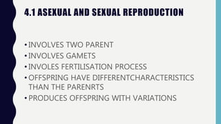 4.1 ASEXUAL AND SEXUAL REPRODUCTION
• INVOLVES TWO PARENT
• INVOLVES GAMETS
• INVOLES FERTILISATION PROCESS
• OFFSPRING HAVE DIFFERENTCHARACTERISTICS
THAN THE PARENRTS
• PRODUCES OFFSPRING WITH VARIATIONS
 