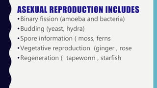 ASEXUAL REPRODUCTION INCLUDES
•Binary fission (amoeba and bacteria)
•Budding (yeast, hydra)
•Spore information ( moss, ferns
•Vegetative reproduction (ginger , rose
•Regeneration ( tapeworm , starfish
 