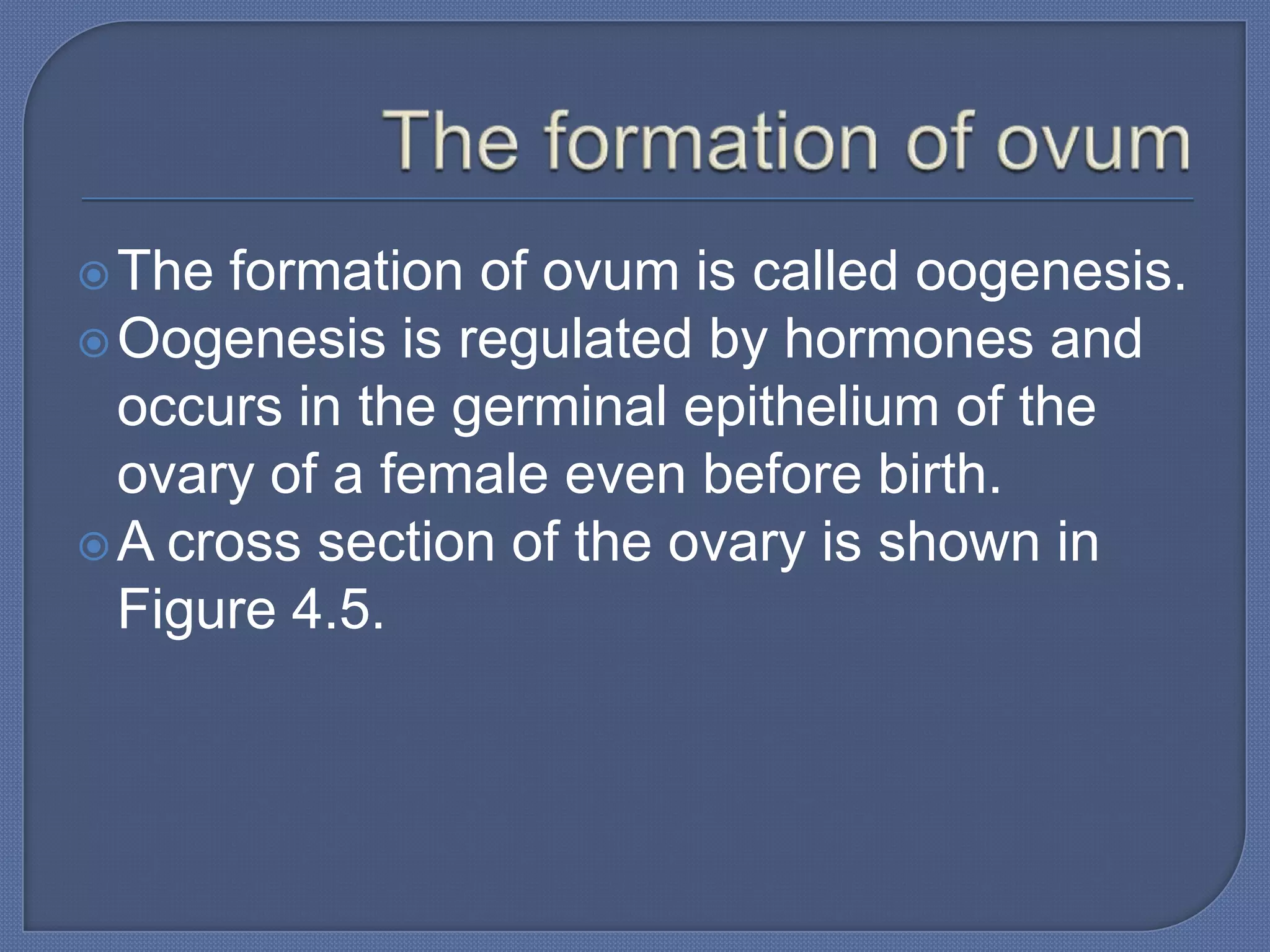  The formation of ovum is called oogenesis.
 Oogenesis is regulated by hormones and
  occurs in the germinal epithelium of the
  ovary of a female even before birth.
 A cross section of the ovary is shown in
  Figure 4.5.
 