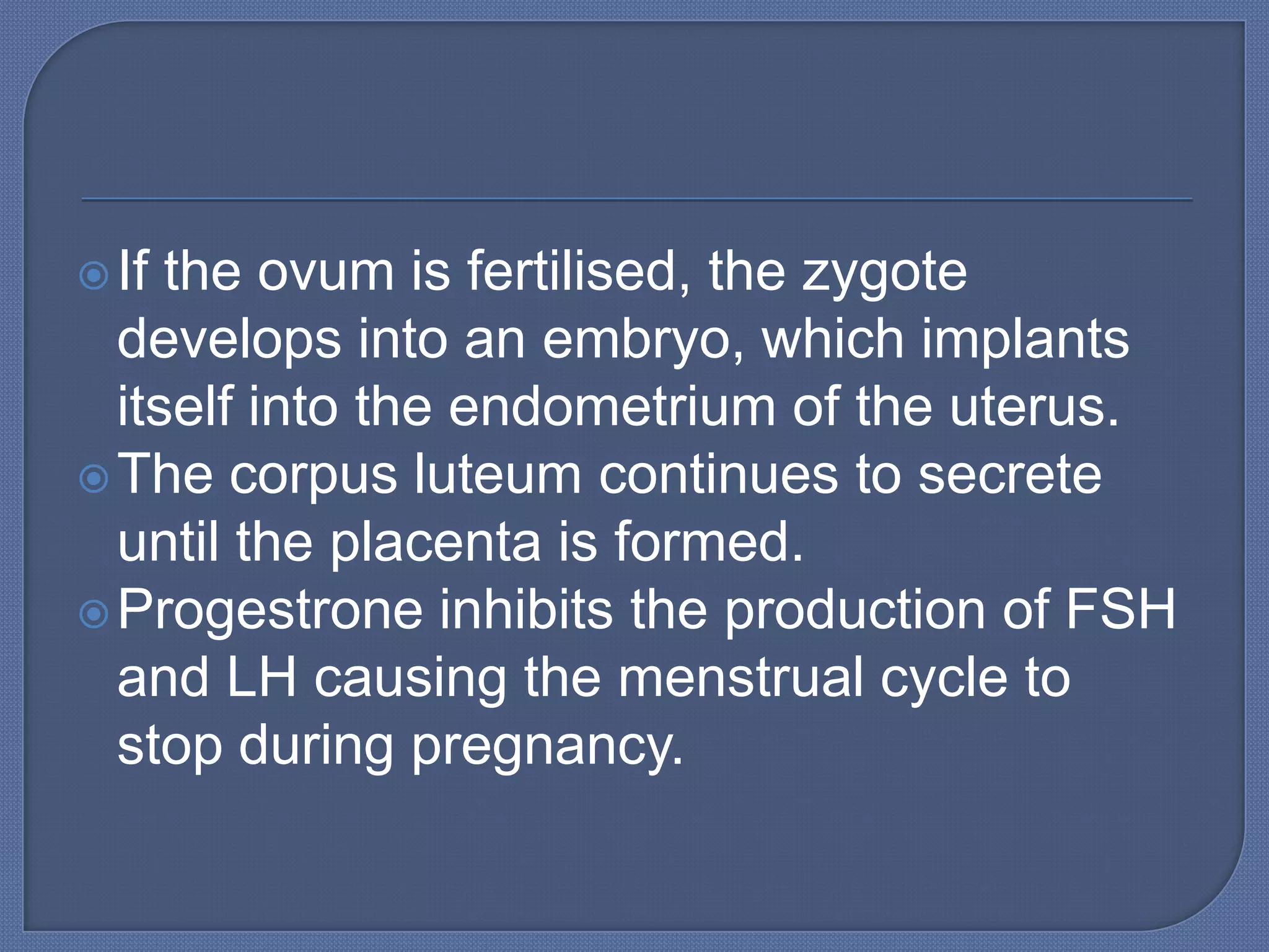  If the ovum is fertilised, the zygote
  develops into an embryo, which implants
  itself into the endometrium of the uterus.
 The corpus luteum continues to secrete
  until the placenta is formed.
 Progestrone inhibits the production of FSH
  and LH causing the menstrual cycle to
  stop during pregnancy.
 