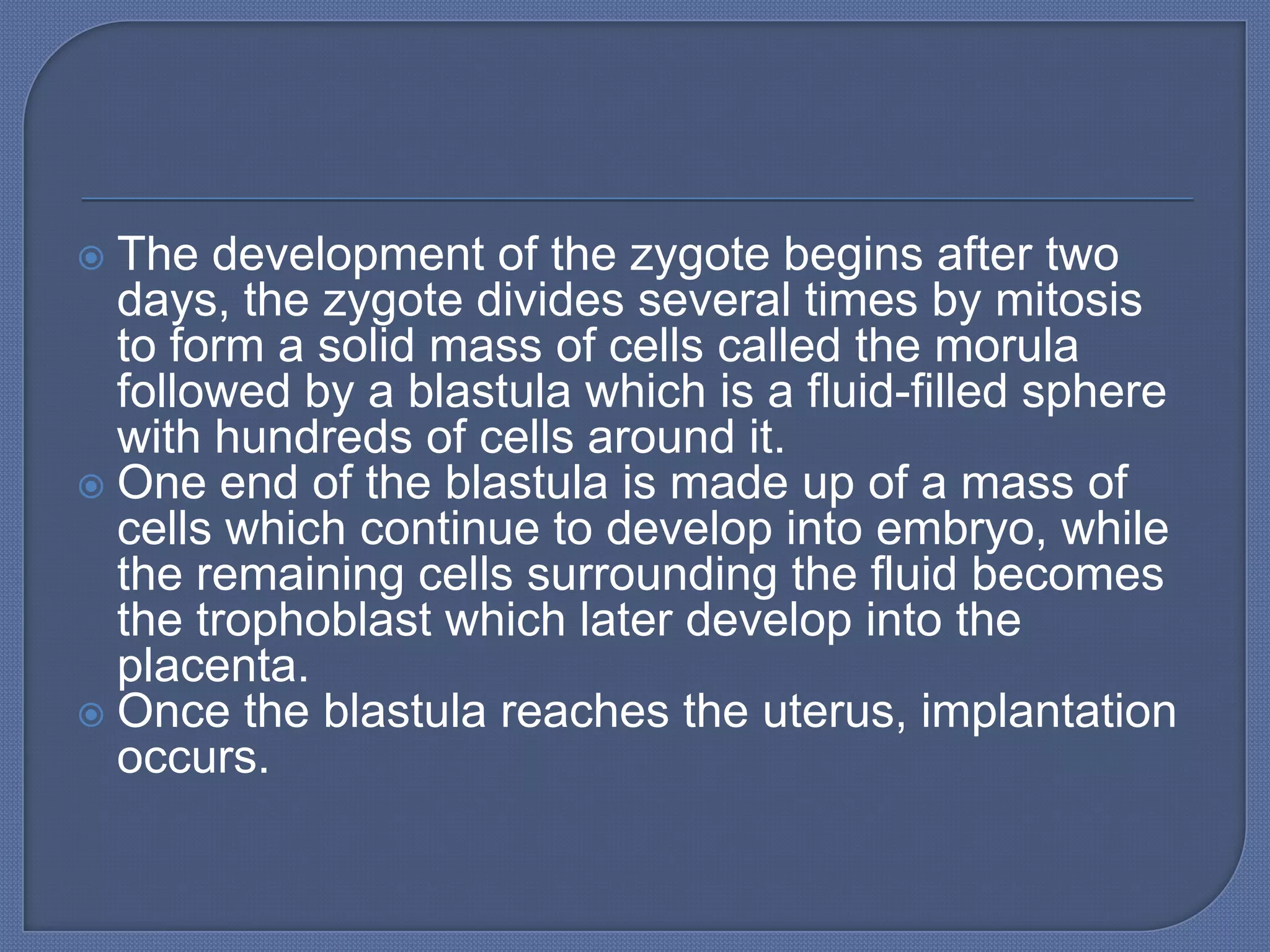  The development of the zygote begins after two
  days, the zygote divides several times by mitosis
  to form a solid mass of cells called the morula
  followed by a blastula which is a fluid-filled sphere
  with hundreds of cells around it.
 One end of the blastula is made up of a mass of
  cells which continue to develop into embryo, while
  the remaining cells surrounding the fluid becomes
  the trophoblast which later develop into the
  placenta.
 Once the blastula reaches the uterus, implantation
  occurs.
 