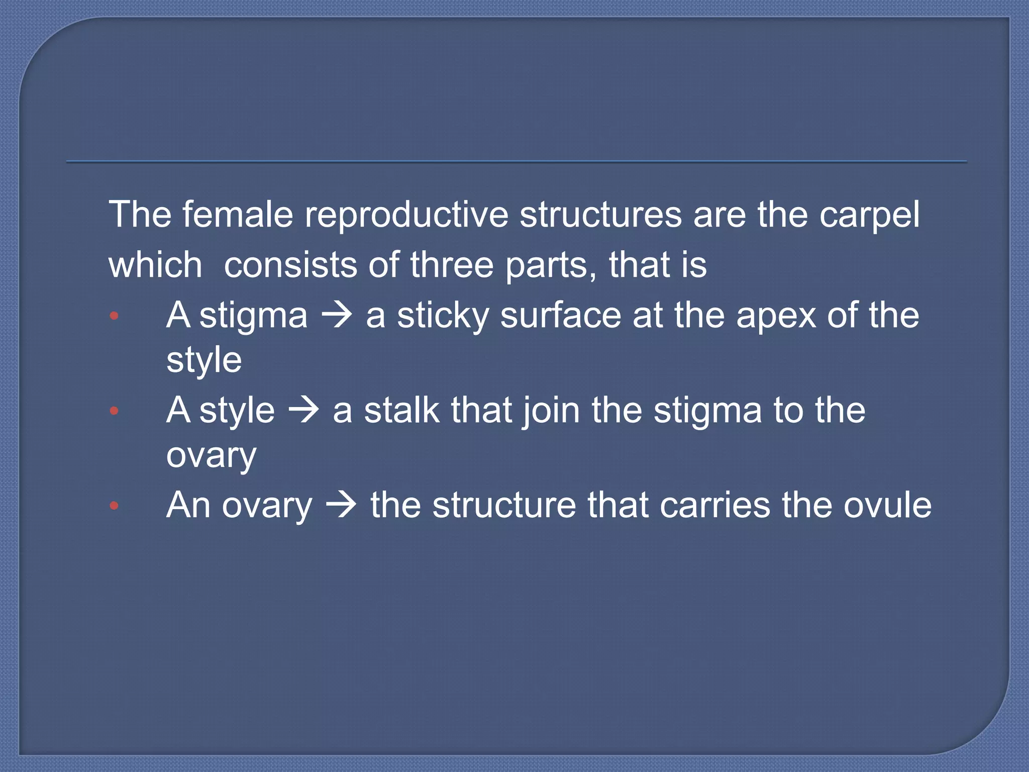 The female reproductive structures are the carpel
which consists of three parts, that is
• A stigma  a sticky surface at the apex of the
   style
• A style  a stalk that join the stigma to the
   ovary
• An ovary  the structure that carries the ovule
 