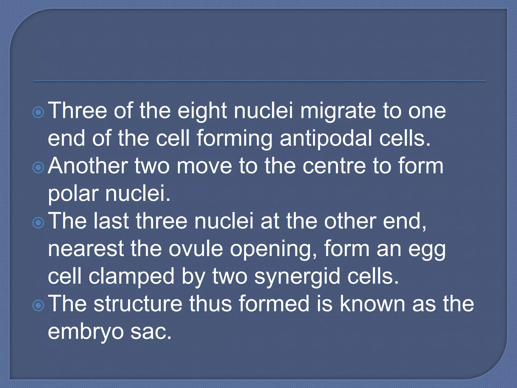  Three   of the eight nuclei migrate to one
  end of the cell forming antipodal cells.
 Another two move to the centre to form
  polar nuclei.
 The last three nuclei at the other end,
  nearest the ovule opening, form an egg
  cell clamped by two synergid cells.
 The structure thus formed is known as the
  embryo sac.
 