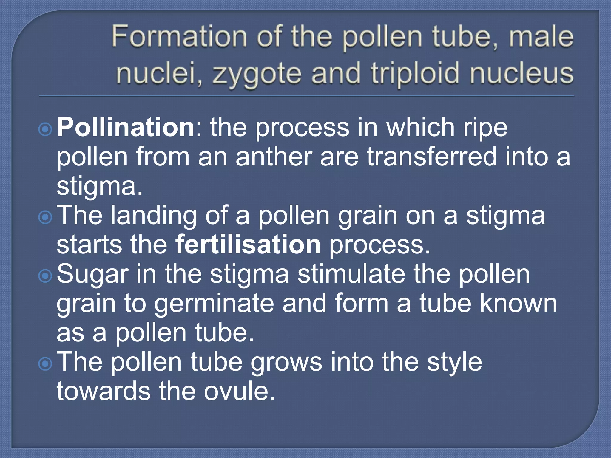  Pollination:  the process in which ripe
  pollen from an anther are transferred into a
  stigma.
 The landing of a pollen grain on a stigma
  starts the fertilisation process.
 Sugar in the stigma stimulate the pollen
  grain to germinate and form a tube known
  as a pollen tube.
 The pollen tube grows into the style
  towards the ovule.
 