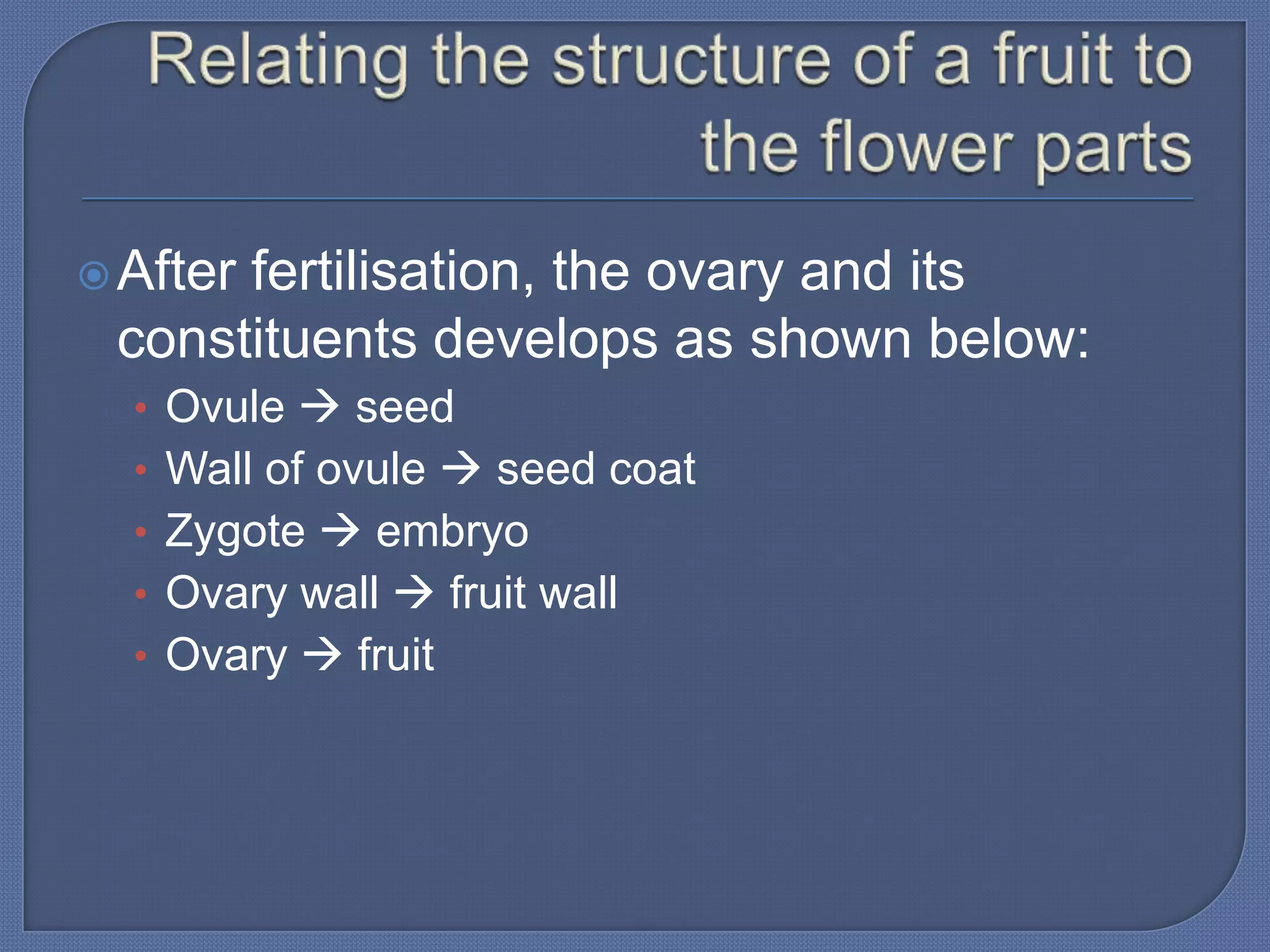  After
      fertilisation, the ovary and its
 constituents develops as shown below:
  • Ovule  seed
  • Wall of ovule  seed coat
  • Zygote  embryo
  • Ovary wall  fruit wall
  • Ovary  fruit
 
