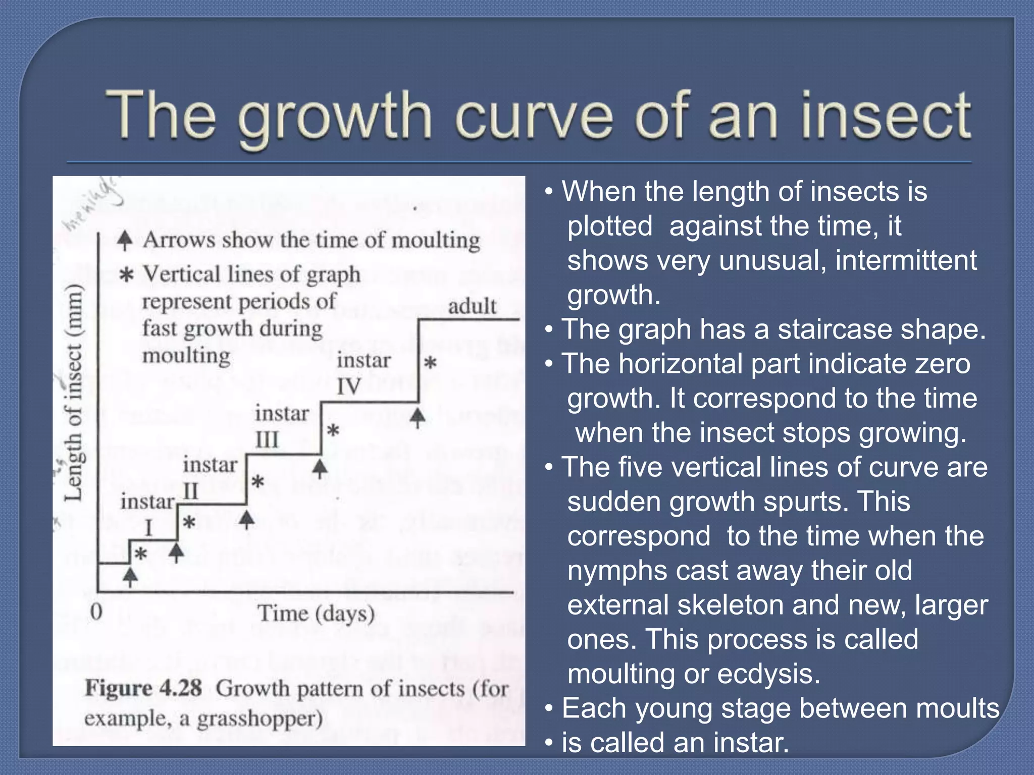 • When the length of insects is
   plotted against the time, it
   shows very unusual, intermittent
   growth.
• The graph has a staircase shape.
• The horizontal part indicate zero
   growth. It correspond to the time
    when the insect stops growing.
• The five vertical lines of curve are
   sudden growth spurts. This
   correspond to the time when the
   nymphs cast away their old
   external skeleton and new, larger
   ones. This process is called
   moulting or ecdysis.
• Each young stage between moults
• is called an instar.
 