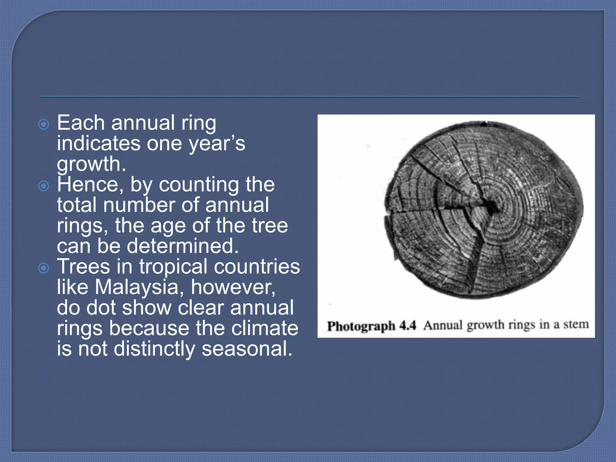  Each annual ring
  indicates one year’s
  growth.
 Hence, by counting the
  total number of annual
  rings, the age of the tree
  can be determined.
 Trees in tropical countries
  like Malaysia, however,
  do dot show clear annual
  rings because the climate
  is not distinctly seasonal.
 