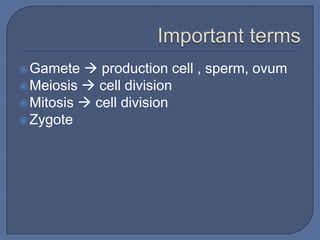  Gamete   production cell , sperm, ovum
 Meiosis  cell division
 Mitosis  cell division
 Zygote
 