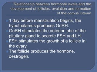 1  day before menstruation begins, the
  hypothalamus produces GnRH.
 GnRH stimulates the anterior lobe of the
  pituitary gland to secrete FSH and LH.
 FSH stimulates the growth of a follicle in
  the ovary.
 The follicle produces the hormone,
  oestrogen.
 
