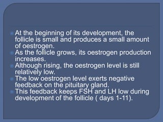  At  the beginning of its development, the
  follicle is small and produces a small amount
  of oestrogen.
 As the follicle grows, its oestrogen production
  increases.
 Although rising, the oestrogen level is still
  relatively low.
 The low oestrogen level exerts negative
  feedback on the pituitary gland.
 This feedback keeps FSH and LH low during
  development of the follicle ( days 1-11).
 