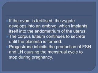  If the ovum is fertilised, the zygote
  develops into an embryo, which implants
  itself into the endometrium of the uterus.
 The corpus luteum continues to secrete
  until the placenta is formed.
 Progestrone inhibits the production of FSH
  and LH causing the menstrual cycle to
  stop during pregnancy.
 