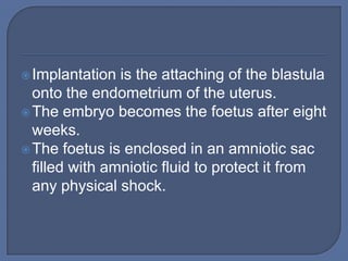  Implantation  is the attaching of the blastula
  onto the endometrium of the uterus.
 The embryo becomes the foetus after eight
  weeks.
 The foetus is enclosed in an amniotic sac
  filled with amniotic fluid to protect it from
  any physical shock.
 