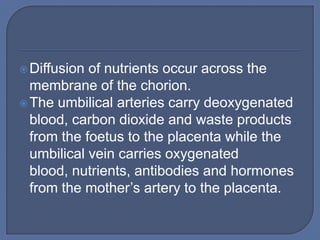  Diffusion of nutrients occur across the
  membrane of the chorion.
 The umbilical arteries carry deoxygenated
  blood, carbon dioxide and waste products
  from the foetus to the placenta while the
  umbilical vein carries oxygenated
  blood, nutrients, antibodies and hormones
  from the mother’s artery to the placenta.
 