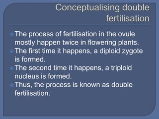  The   process of fertilisation in the ovule
  mostly happen twice in flowering plants.
 The first time it happens, a diploid zygote
  is formed.
 The second time it happens, a triploid
  nucleus is formed.
 Thus, the process is known as double
  fertilisation.
 