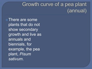  There are some
 plants that do not
 show secondary
 growth and live as
 annuals and
 biennials, for
 example, the pea
 plant, Pisum
 sativum.
 