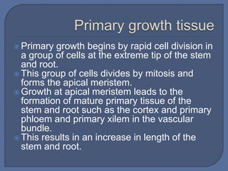  Primary growth begins by rapid cell division in
  a group of cells at the extreme tip of the stem
  and root.
 This group of cells divides by mitosis and
  forms the apical meristem.
 Growth at apical meristem leads to the
  formation of mature primary tissue of the
  stem and root such as the cortex and primary
  phloem and primary xilem in the vascular
  bundle.
 This results in an increase in length of the
  stem and root.
 
