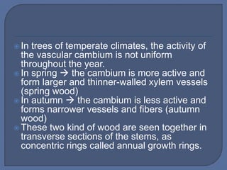  In trees of temperate climates, the activity of
  the vascular cambium is not uniform
  throughout the year.
 In spring  the cambium is more active and
  form larger and thinner-walled xylem vessels
  (spring wood)
 In autumn  the cambium is less active and
  forms narrower vessels and fibers (autumn
  wood)
 These two kind of wood are seen together in
  transverse sections of the stems, as
  concentric rings called annual growth rings.
 