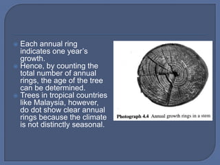  Each annual ring
  indicates one year’s
  growth.
 Hence, by counting the
  total number of annual
  rings, the age of the tree
  can be determined.
 Trees in tropical countries
  like Malaysia, however,
  do dot show clear annual
  rings because the climate
  is not distinctly seasonal.
 