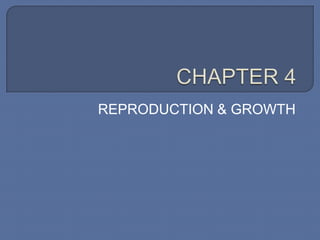 REPRODUCTION & GROWTH
 