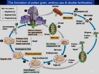 Pollen Reproduction Form 5_Chapter 6_Sexual Reproduction in Flowering Plants.ppt