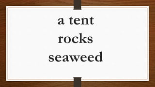 a tent
rocks
seaweed