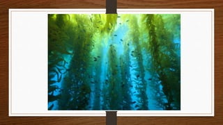 Form 5 unit 1 lesson 3