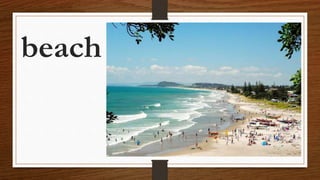beach
 