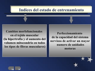 Indices del estado de entrenamiento




  Cambios morfofuncionales
                                        Perfeccionamiento
      en el tejido muscular
                                    de la capacidad del sistema
(la hipertrofia y el aumento del
                                   nervioso de activar un mayor
 volumen mitocondrio en todos
                                        numero de unidades
 los tipos de fibras musculares)
                                              motoras
 