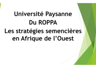 Université Paysanne
Du ROPPA
Les stratégies semencièresLes stratégies semencières
en Afrique de l’Ouest
Université Paysanne
Du ROPPA
Les stratégies semencièresLes stratégies semencières
en Afrique de l’Ouest
 