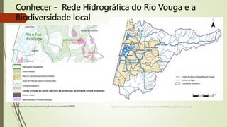 Conhecer - Rede Hidrográfica do Rio Vouga e a
Biodiversidade local
https://www.cm-sever.pt/cmsever/uploads/document/file/988/_rea_de_Interven__o.pdf
https://www.cm-aveiro.pt/cmaveiro/uploads/document/file/10608
 