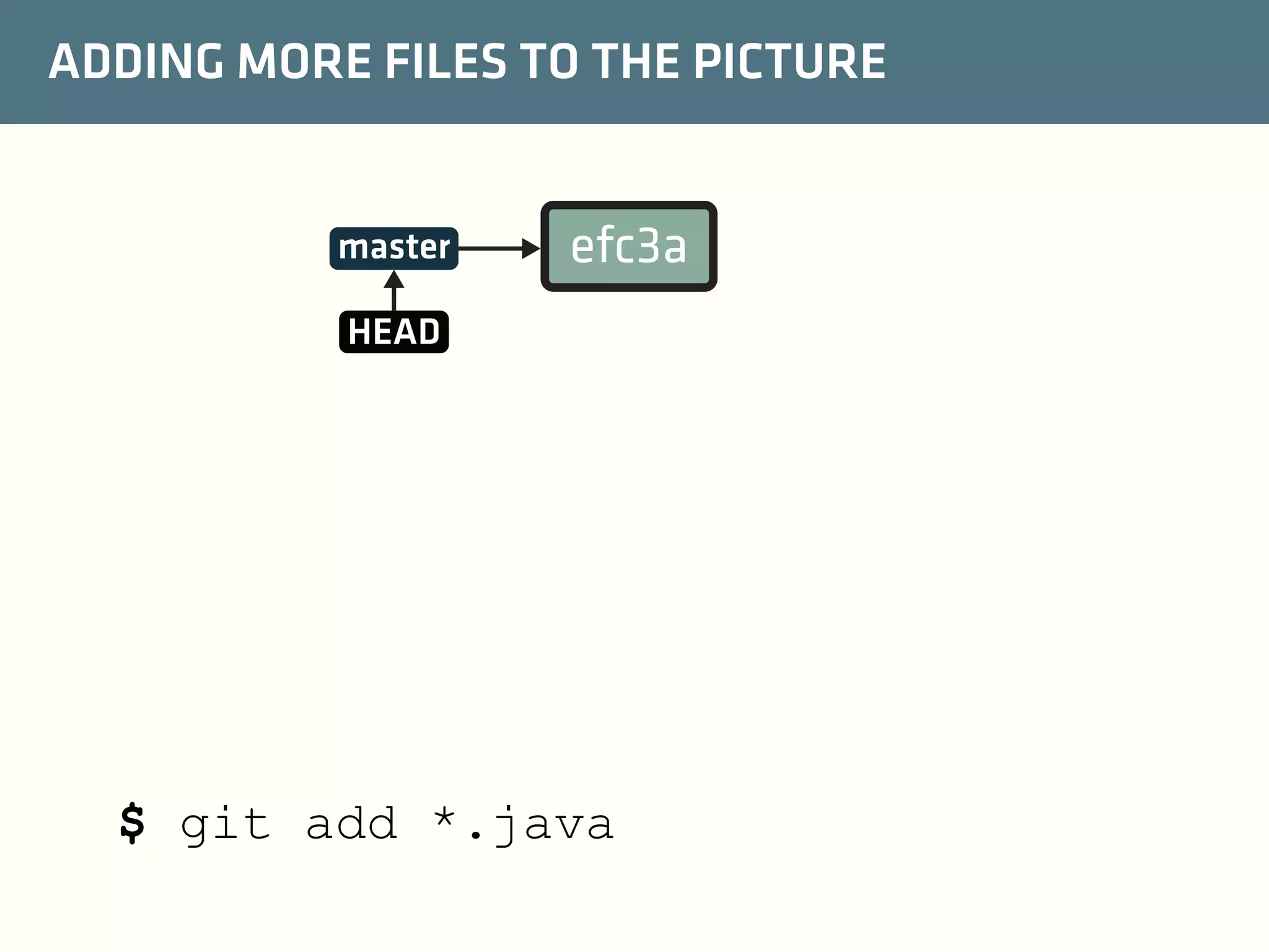 ADDING MORE FILES TO THE PICTURE

master

efc3a

HEAD

$ git add *.java

 