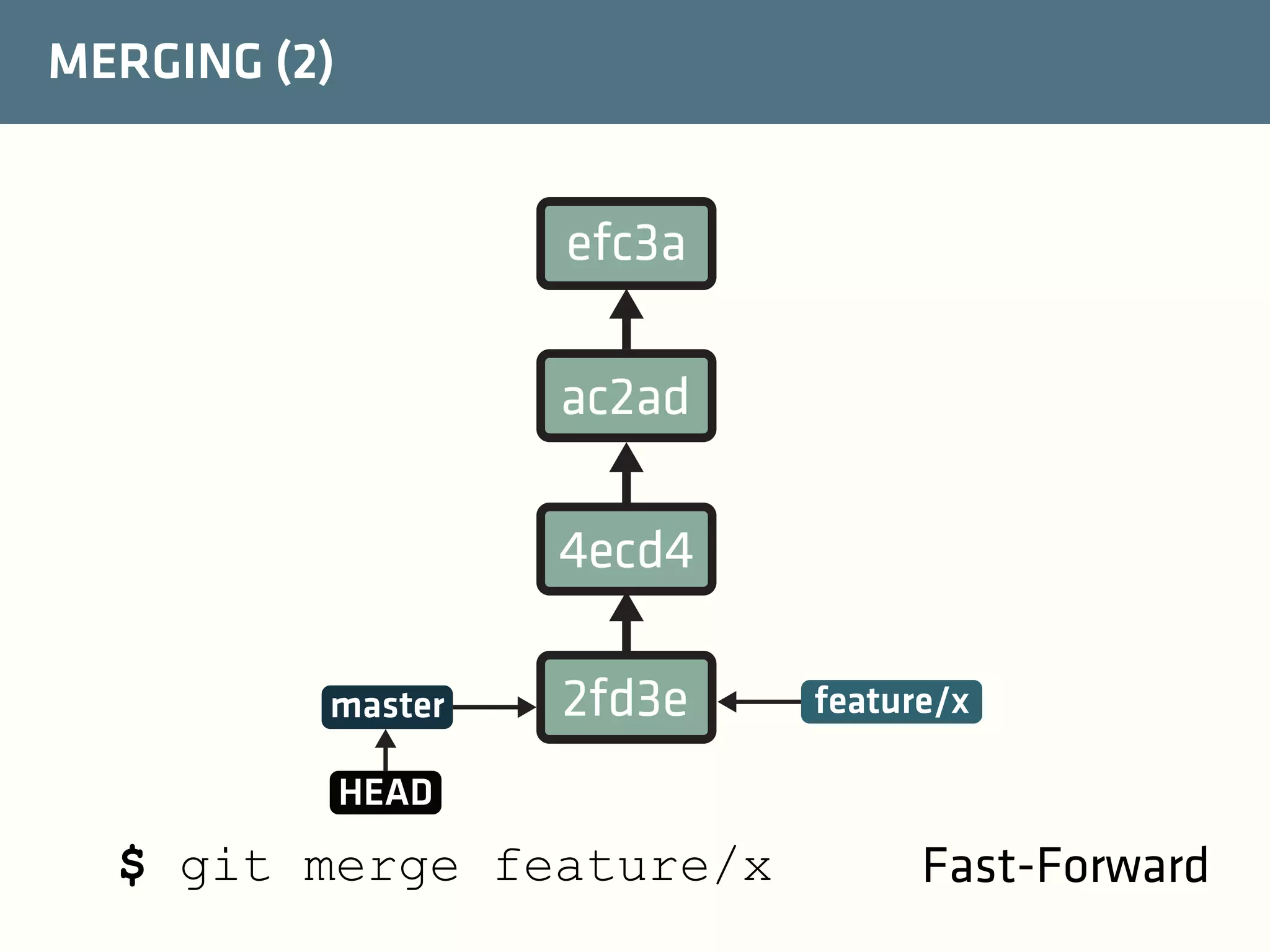MERGING (2)

efc3a
ac2ad
4ecd4
master

2fd3e

feature/x

HEAD

$ git merge feature/x

Fast-Forward

 