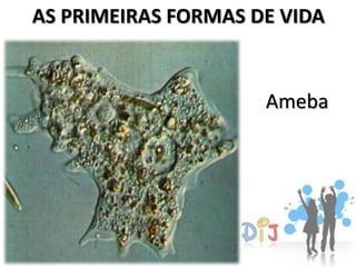 AS PRIMEIRAS FORMAS DE VIDA


                     Ameba
 
