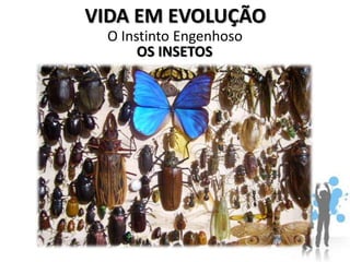VIDA EM EVOLUÇÃO
 O Instinto Engenhoso
      OS INSETOS
 