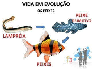 VIDA EM EVOLUÇÃO
     OS PEIXES
 