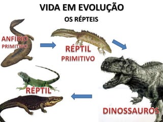VIDA EM EVOLUÇÃO
    OS RÉPTEIS
 