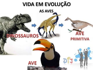 VIDA EM EVOLUÇÃO
     AS AVES
 