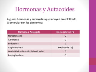 Hormonas y Autacoides
Algunas hormonas y autacoides que influyen en el Filtrado
Glomerular son las siguientes:
Hormona o Autacoide Efecto sobre el FG
Noradrenalina ↘
Adrenalina ↘
Endotelina ↘
Angiotensina II ↔ (impide ↘)
Oxido Nítrico derivado del endotelio ↗
Prostaglandinas ↗
 