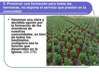 5. Promover una formación para todas las hermanas, no importa el servicio que presten en la comunidad Hacemos una clara y decidida opción por la formación de los miembros de nuestras comunidades, en bien de todos los bautizados, cualquiera sea la función que desarrollen en la Iglesia.  (DA 276) 