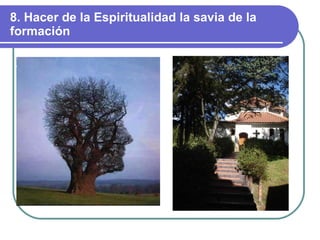8. Hacer de la Espiritualidad la savia de la formación 