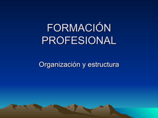 FORMACIÓN PROFESIONAL Organización y estructura 
